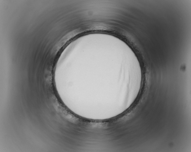 X0000112841025200909181708