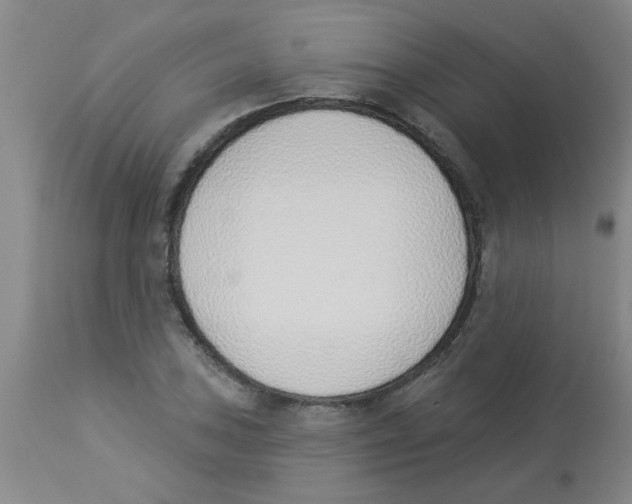 X0000112841027200909181708