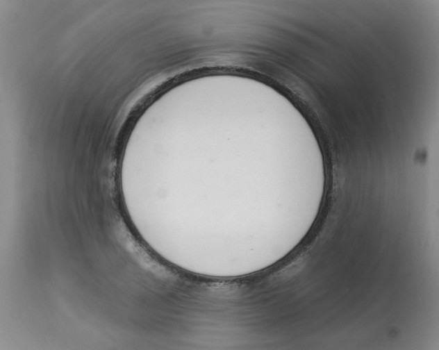 X0000112841029200909181708