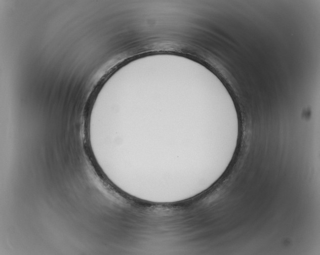 X0000112841034200909181708