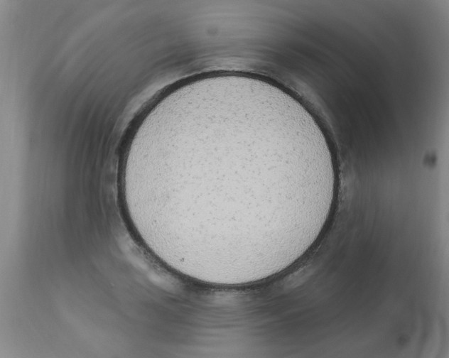 X0000112841035200909181708