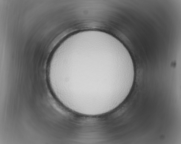 X0000112841039200909181708