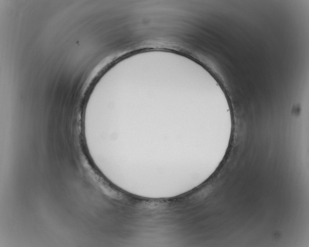 X0000112841040200909181708