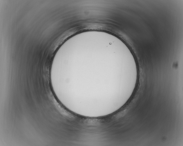 X0000112841041200909181708