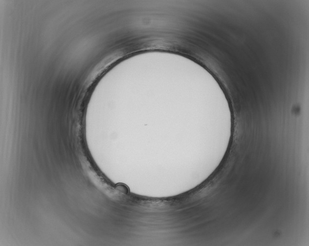 X0000112841042200909181708