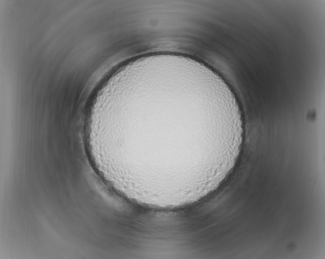 X0000112841043200909181708