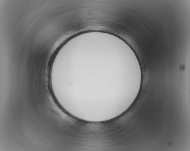 X0000112841046200909181708