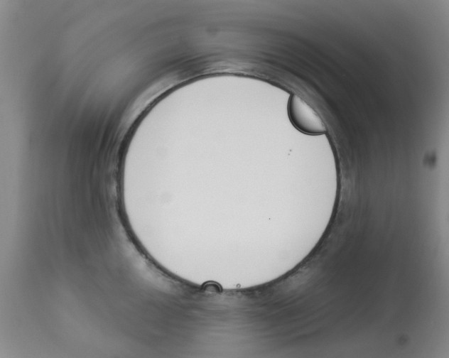 X0000112841050200909181708