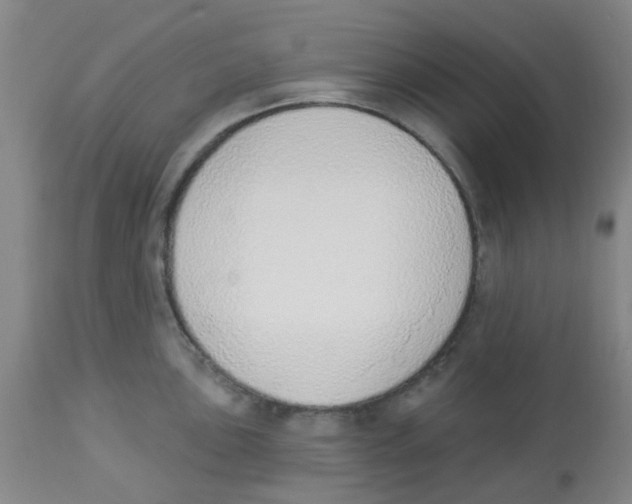 X0000112841051200909181708