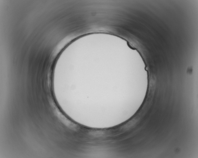 X0000112841054200909181708