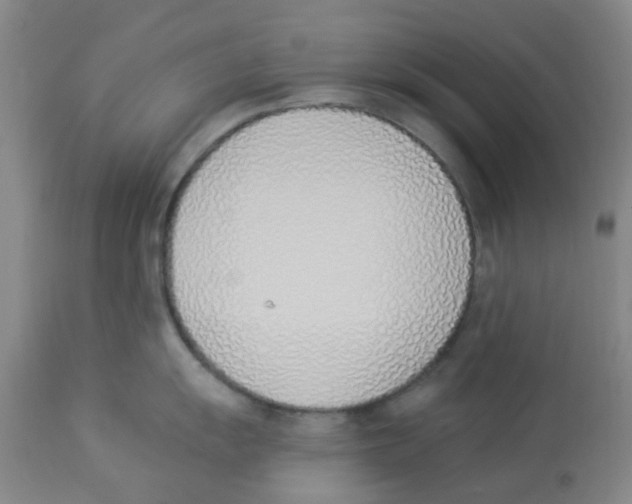 X0000112841055200909181708