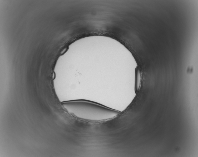 X0000112841057200909181708