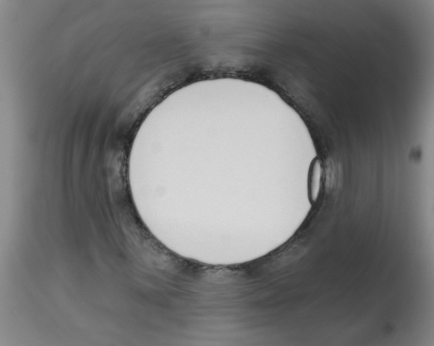 X0000112841059200909181708