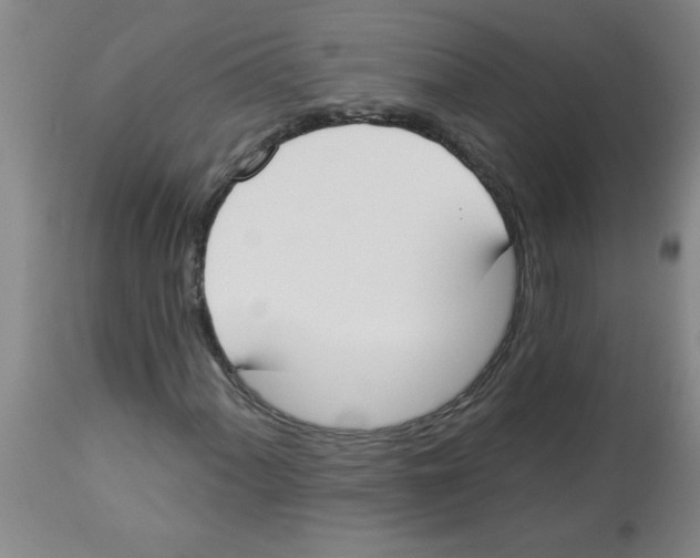 X0000112841060200909181708