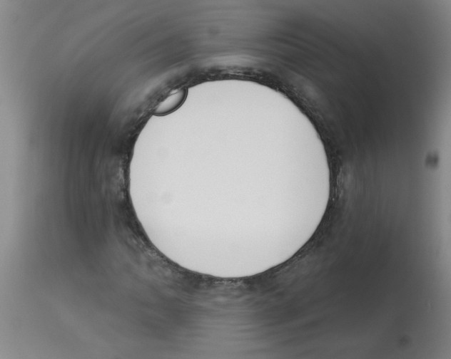 X0000112841062200909181708