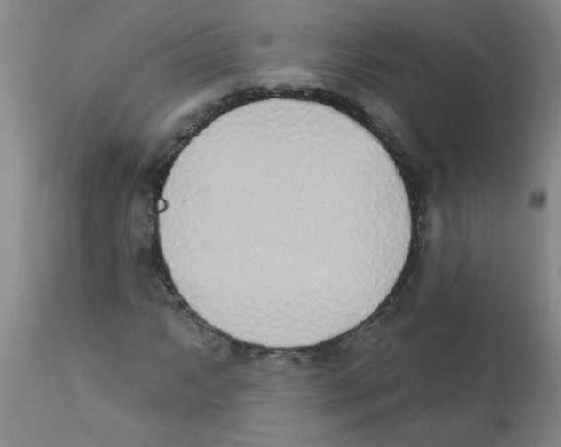 X0000112841063200909181708