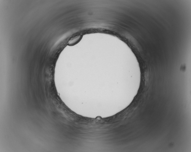 X0000112841064200909181707