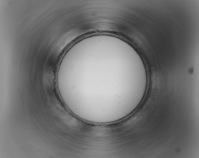 X0000112841065200909181707