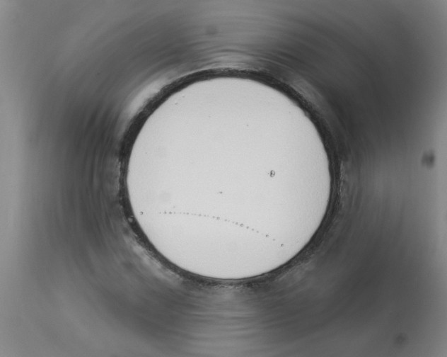 X0000112841067200909181707