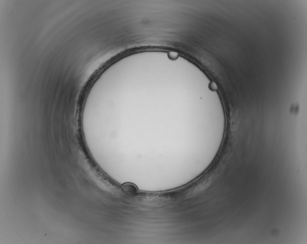 X0000112841077200909181707