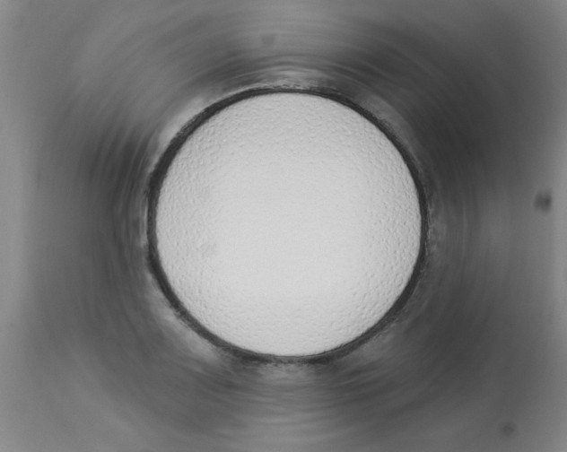 X0000112841083200909181707