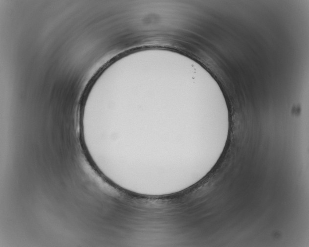 X0000112841084200909181707