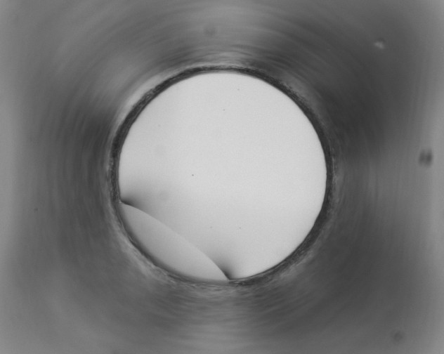 X0000112841085200909181707