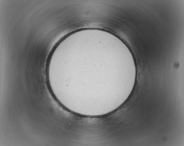 X0000112841087200909181707