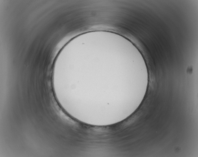 X0000112841102200909181707