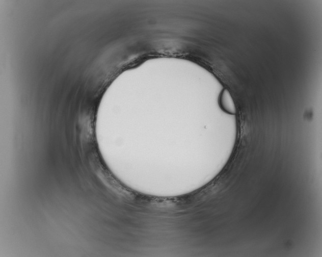 X0000112841106200909181706