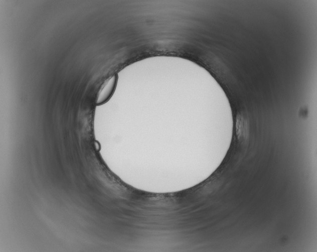 X0000112841107200909181706