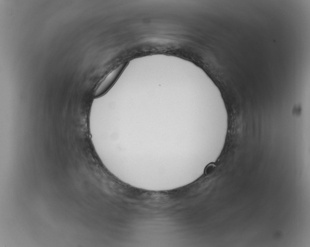 X0000112841109200909181706