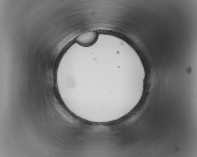 X0000112841113200909181706