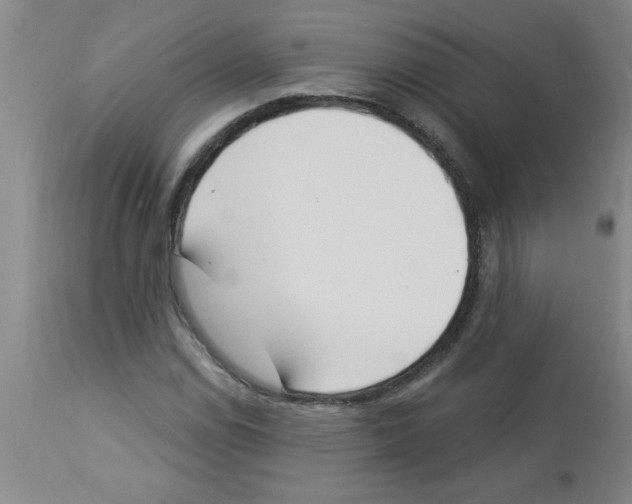 X0000112841114200909181706