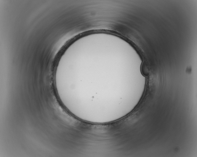 X0000112841116200909181706