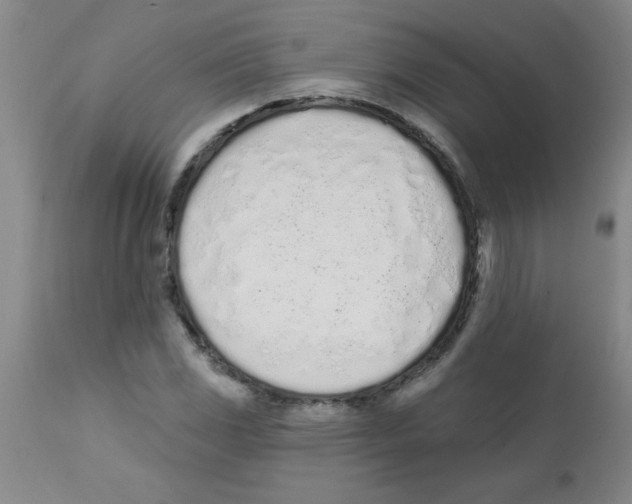 X0000112841117200909181706