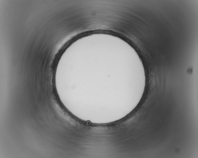 X0000112841118200909181706