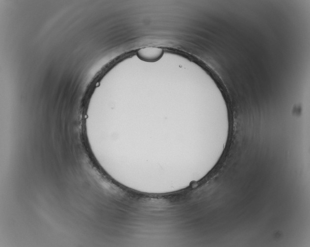 X0000112841119200909181706