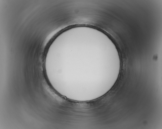 X0000112841120200909181706