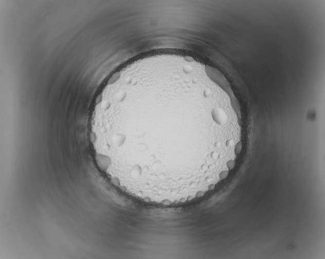 X0000112841121200909181706