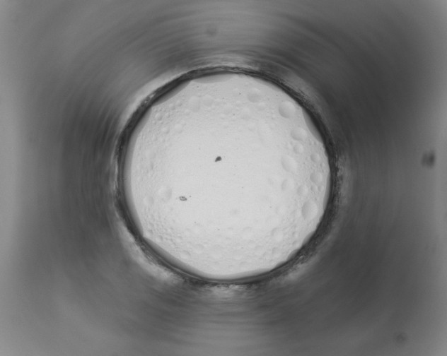 X0000112841125200909181707