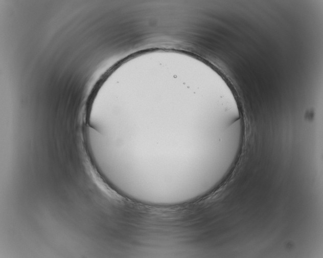 X0000112841128200909181707