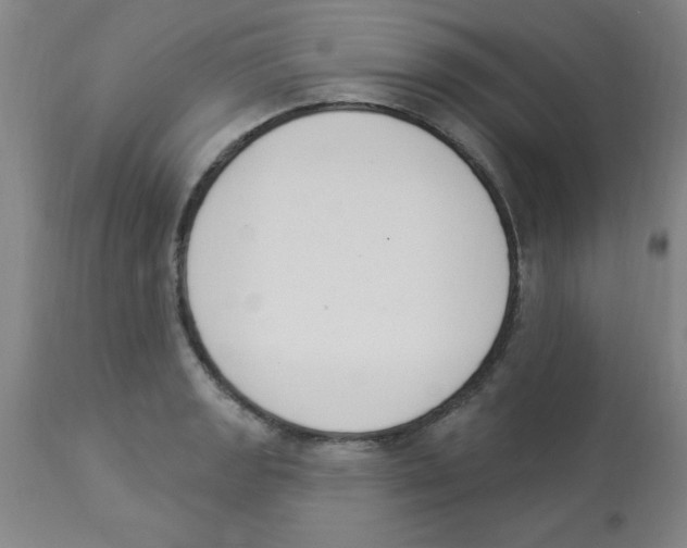 X0000112841133200909181707