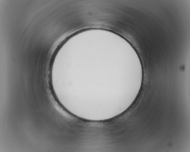 X0000112841136200909181707