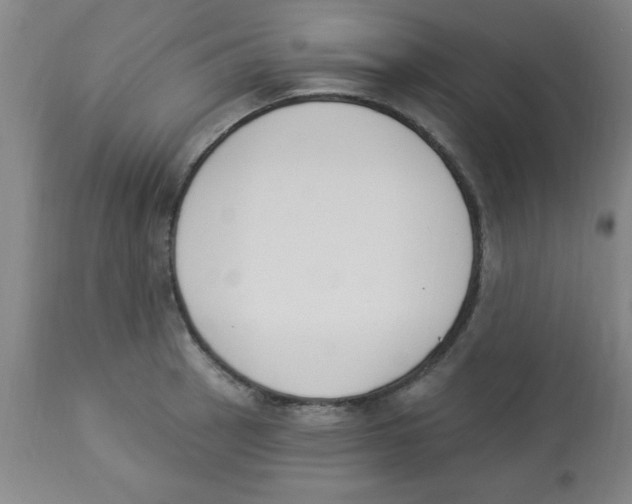 X0000112841137200909181707