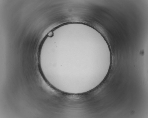 X0000112841141200909181707