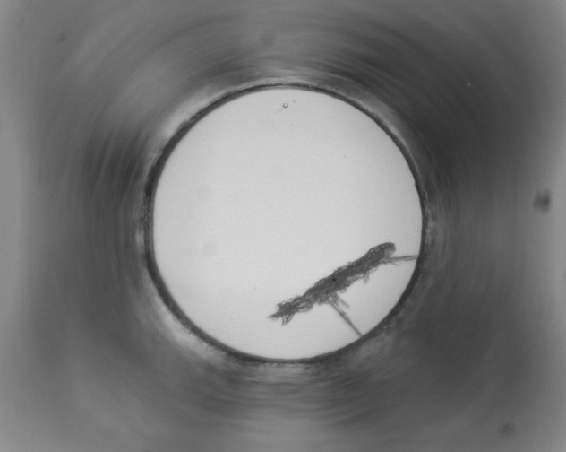 X0000112841143200909181707