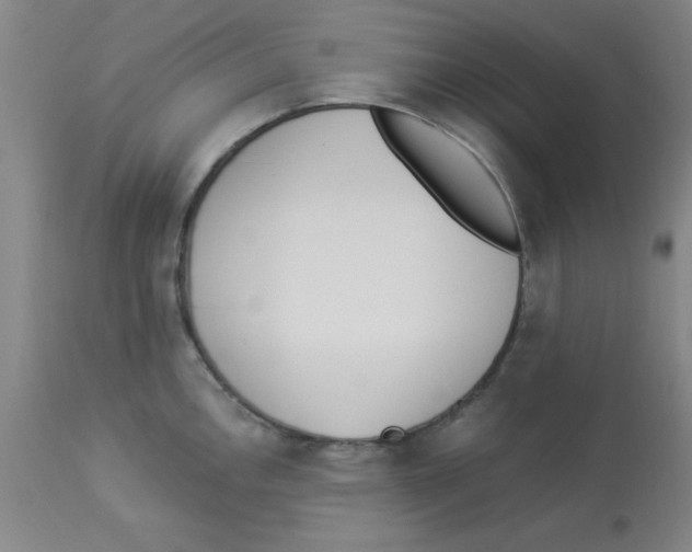 X0000112841146200909181707