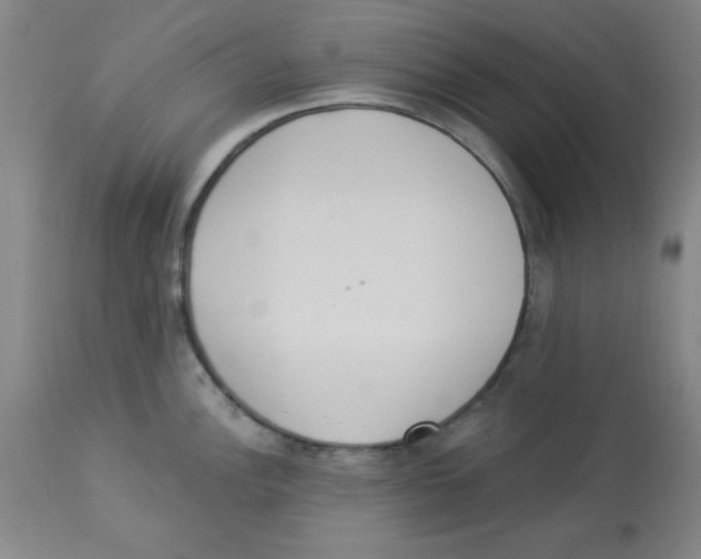 X0000112841148200909181707