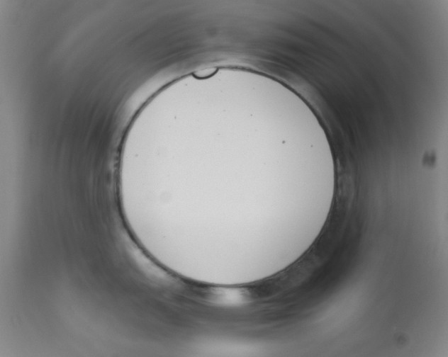 X0000112841151200909181707